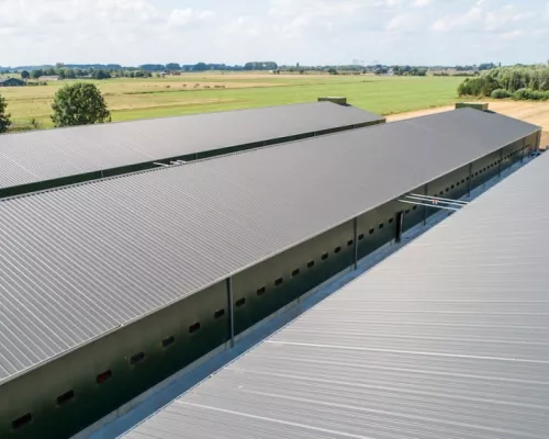 Poultry house Beneden-Leeuwen
