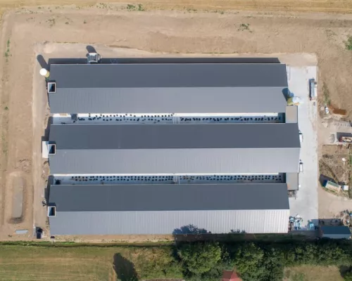 Poultry house Beneden-Leeuwen