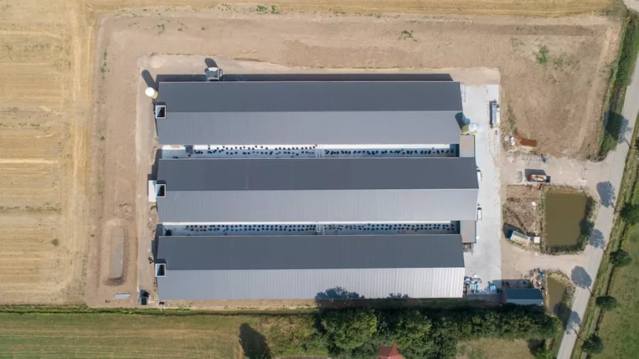 Poultry house Beneden-Leeuwen